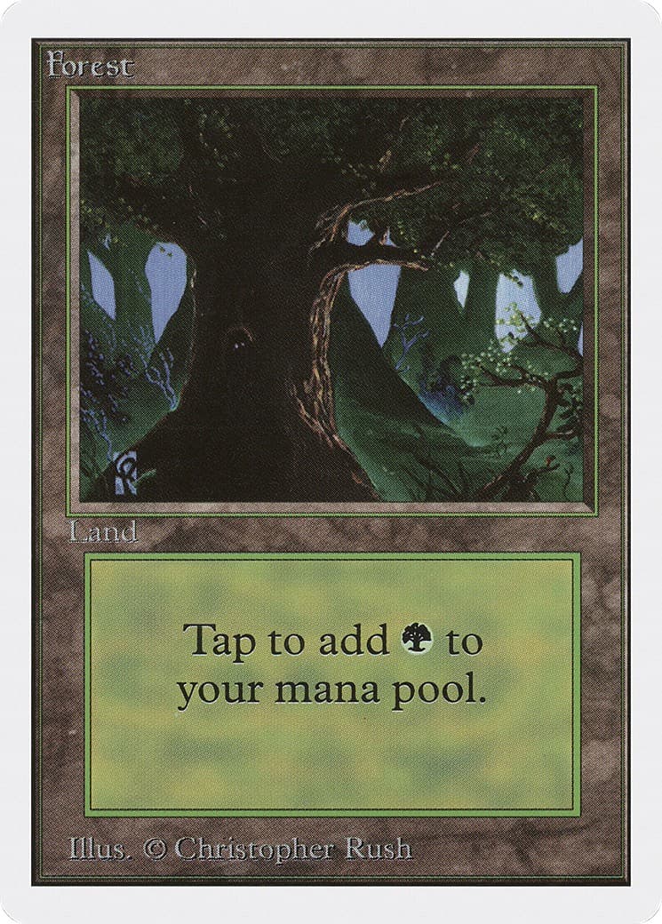Forest - Image 1
