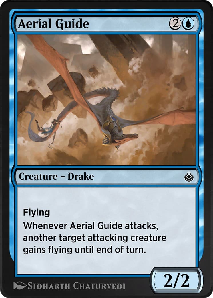 Aerial Guide - Image 1