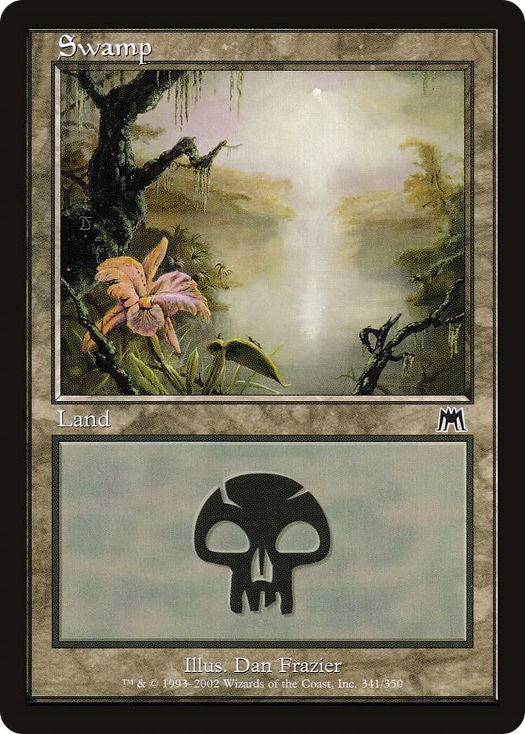 Swamp - Image 1