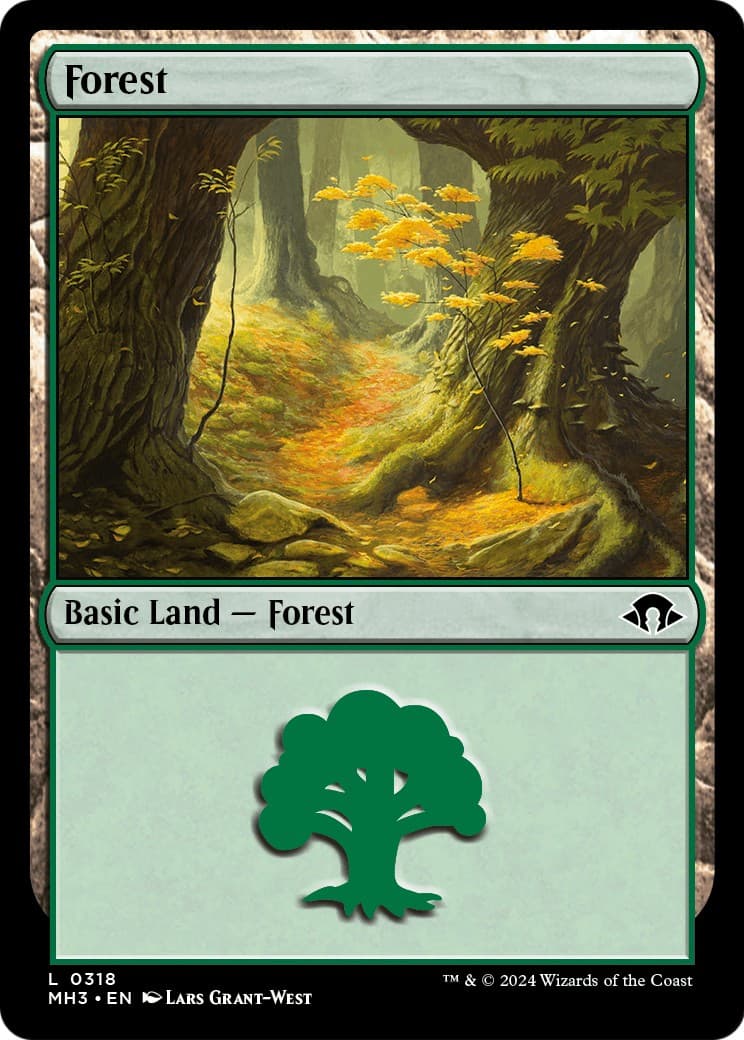 Forest - Image 1