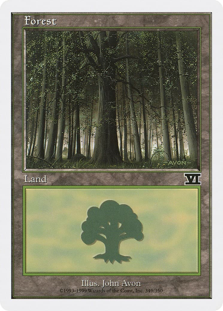 Forest - Image 1