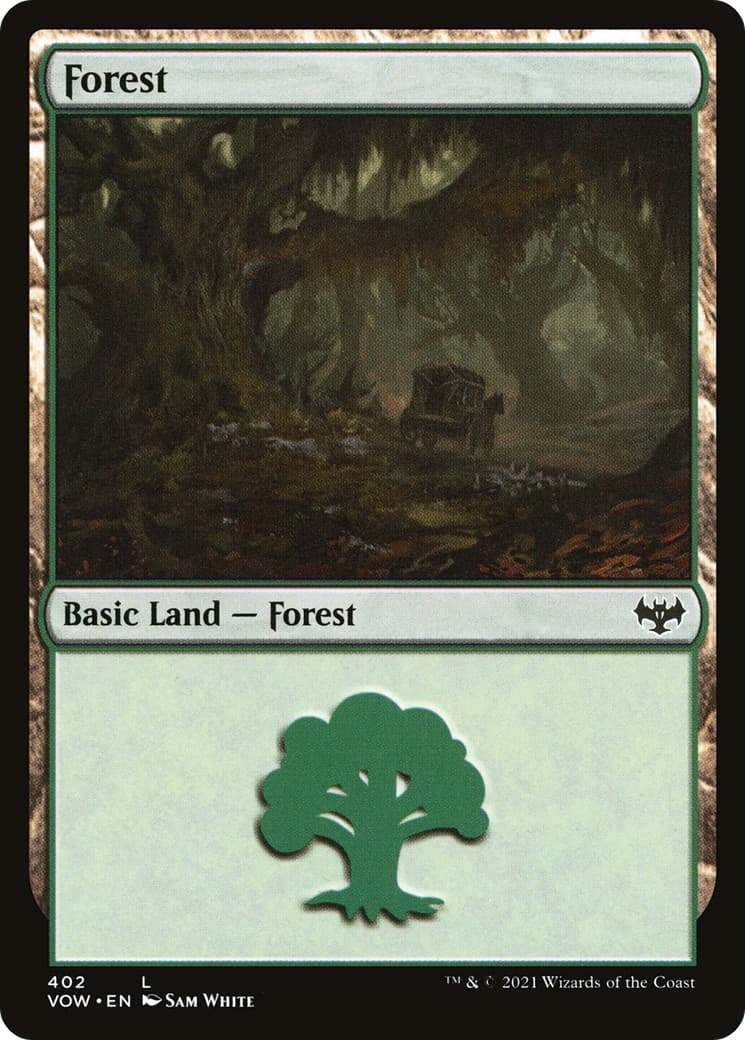 Forest - Image 1