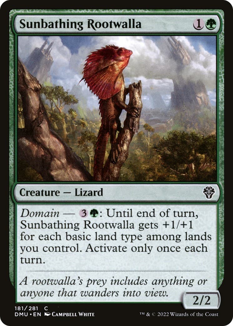 Sunbathing Rootwalla - Image 1