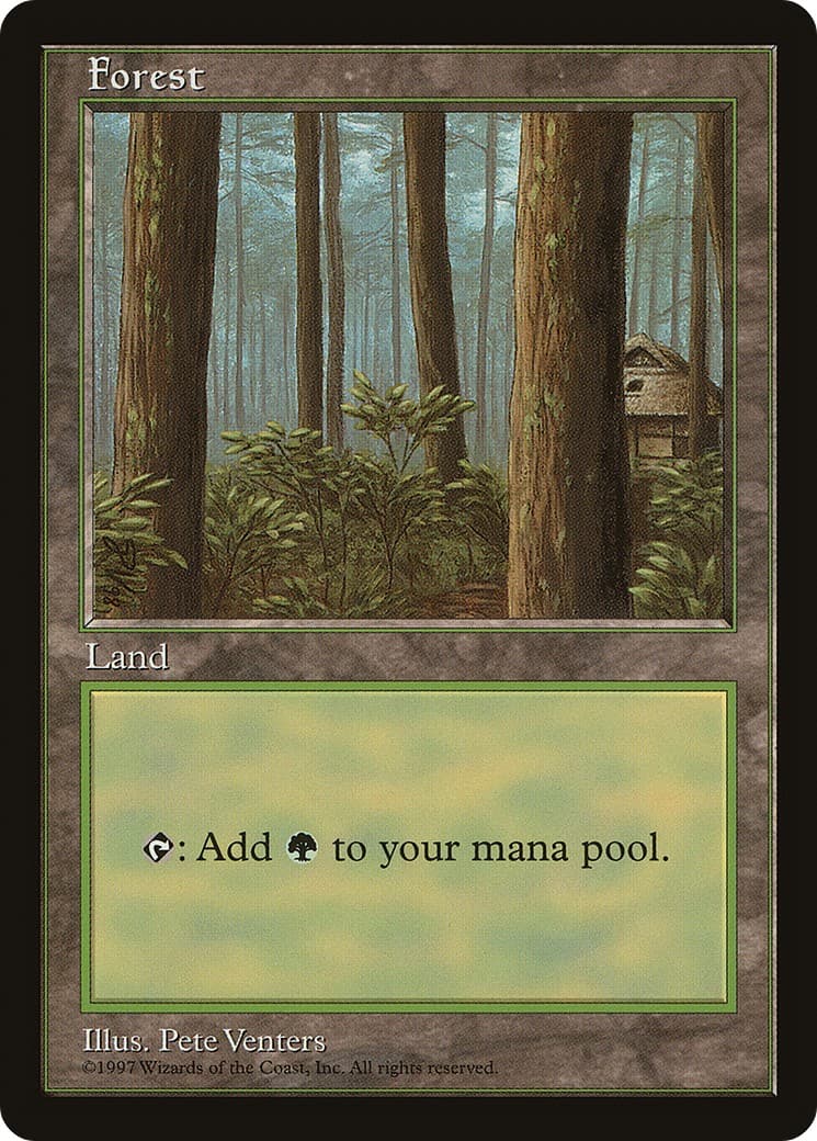 Forest - Image 1