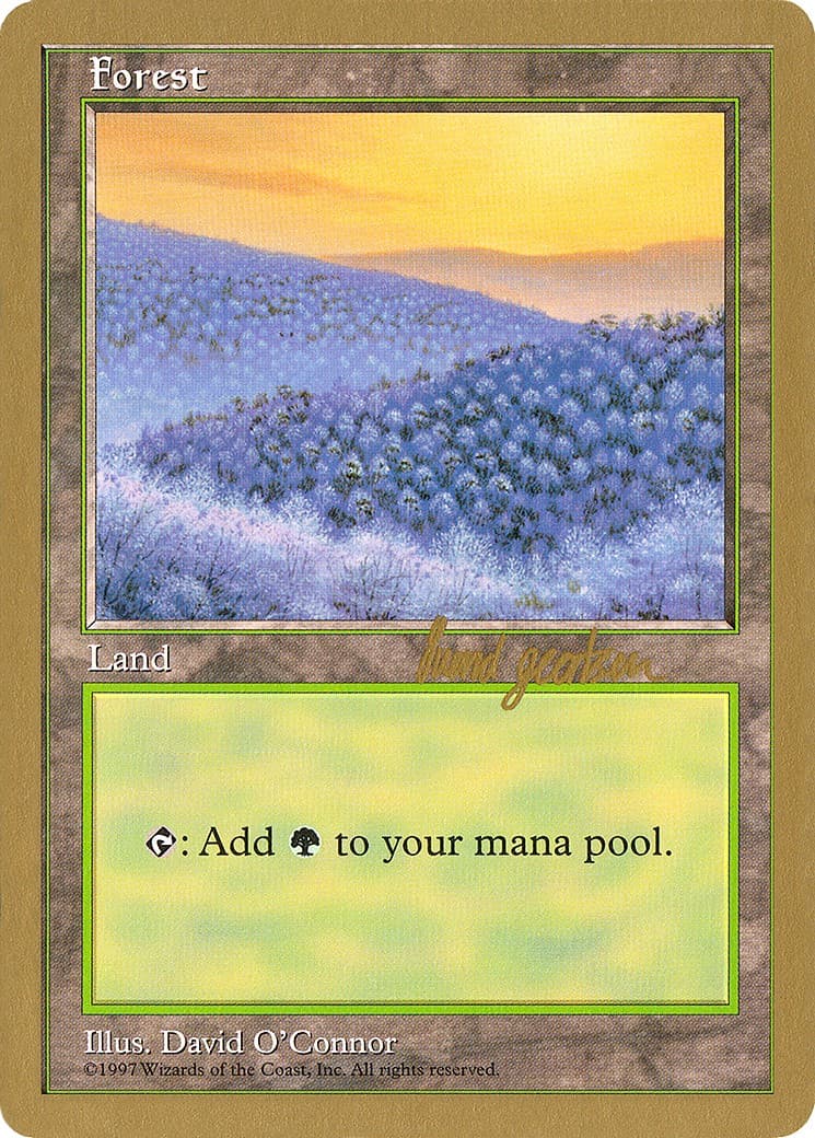 Forest - Image 1