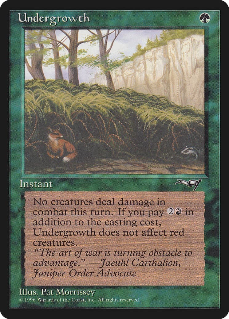 Undergrowth - Image 1