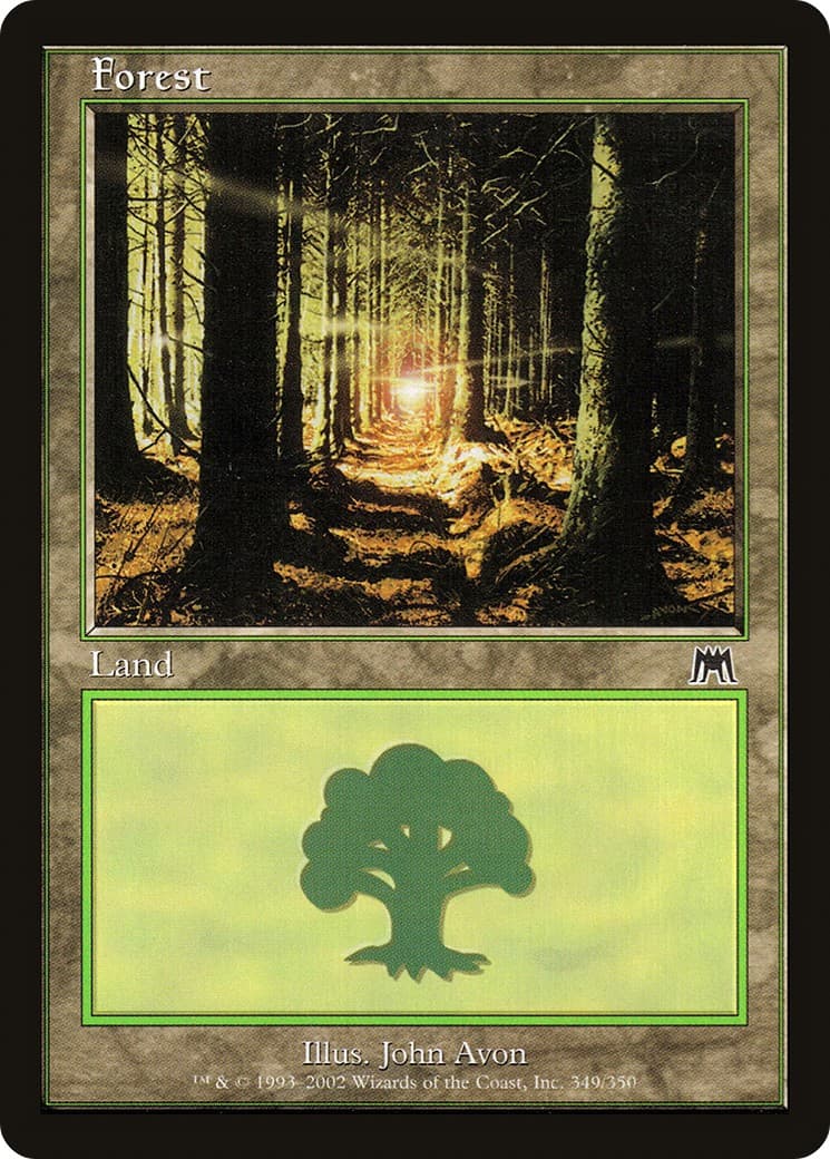 Forest - Image 1