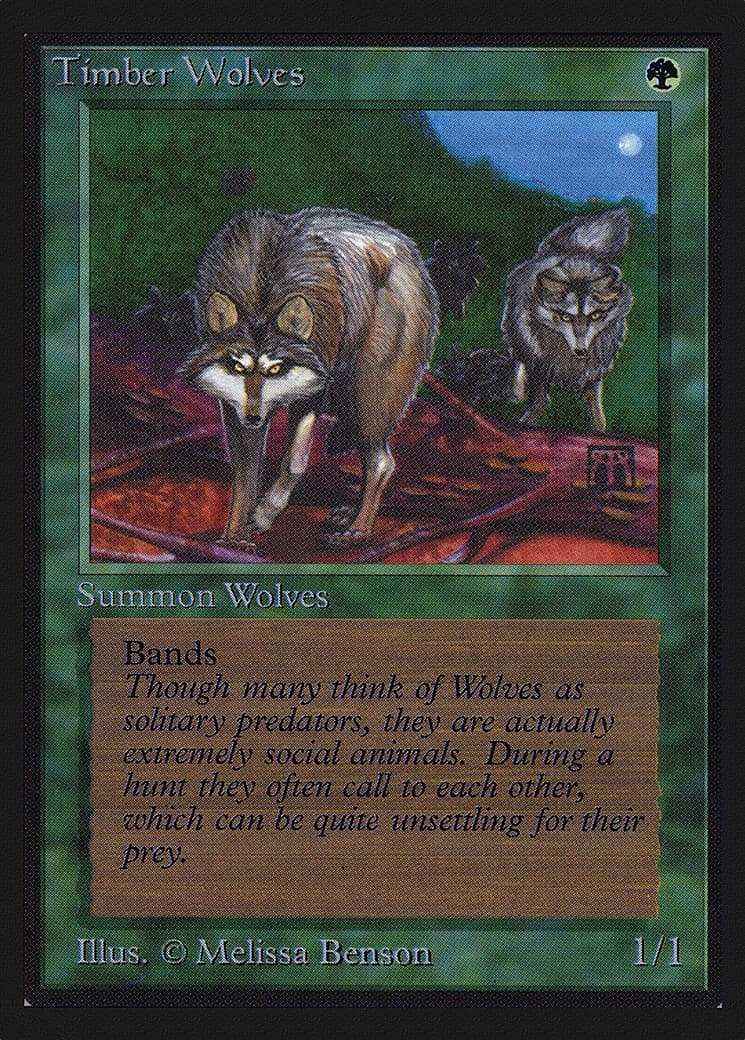 Timber Wolves - Image 1