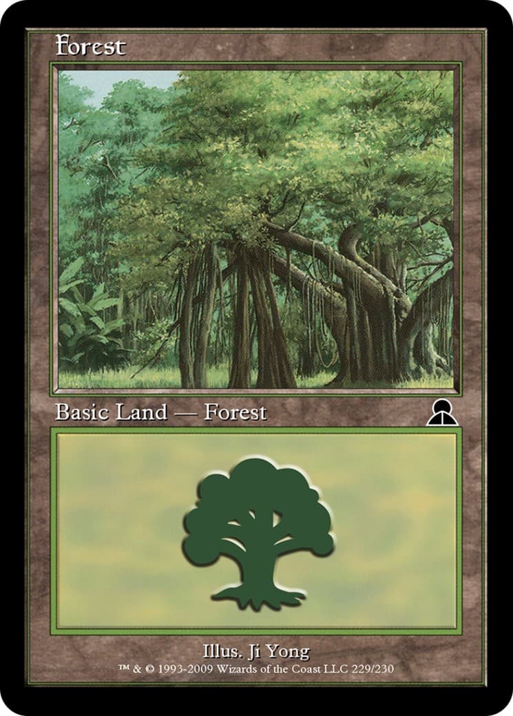 Forest - Image 1