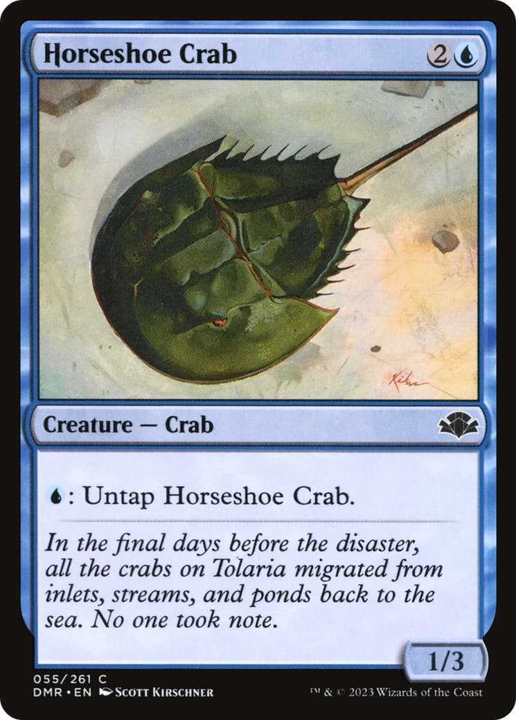 Horseshoe Crab - Image 1