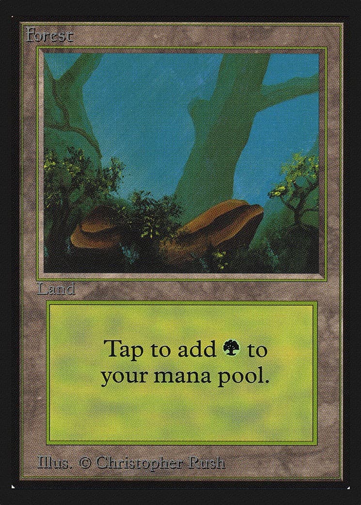 Forest - Image 1