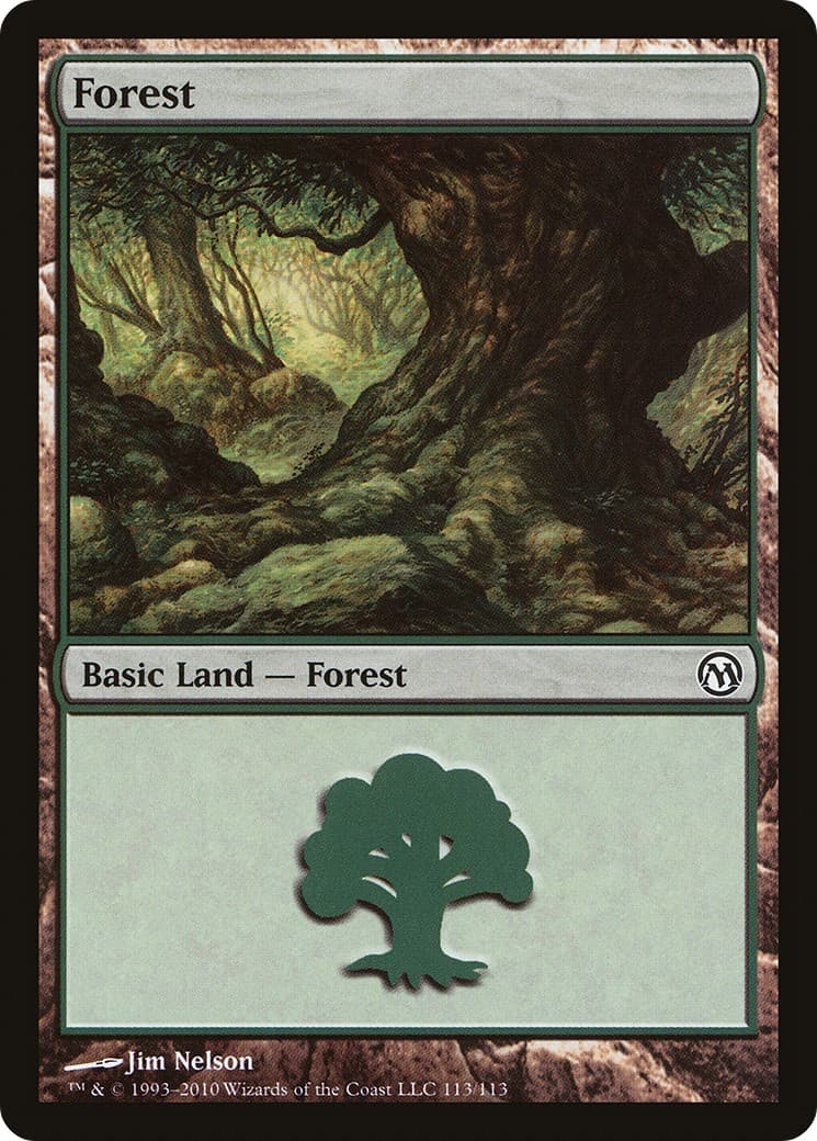 Forest - Image 1