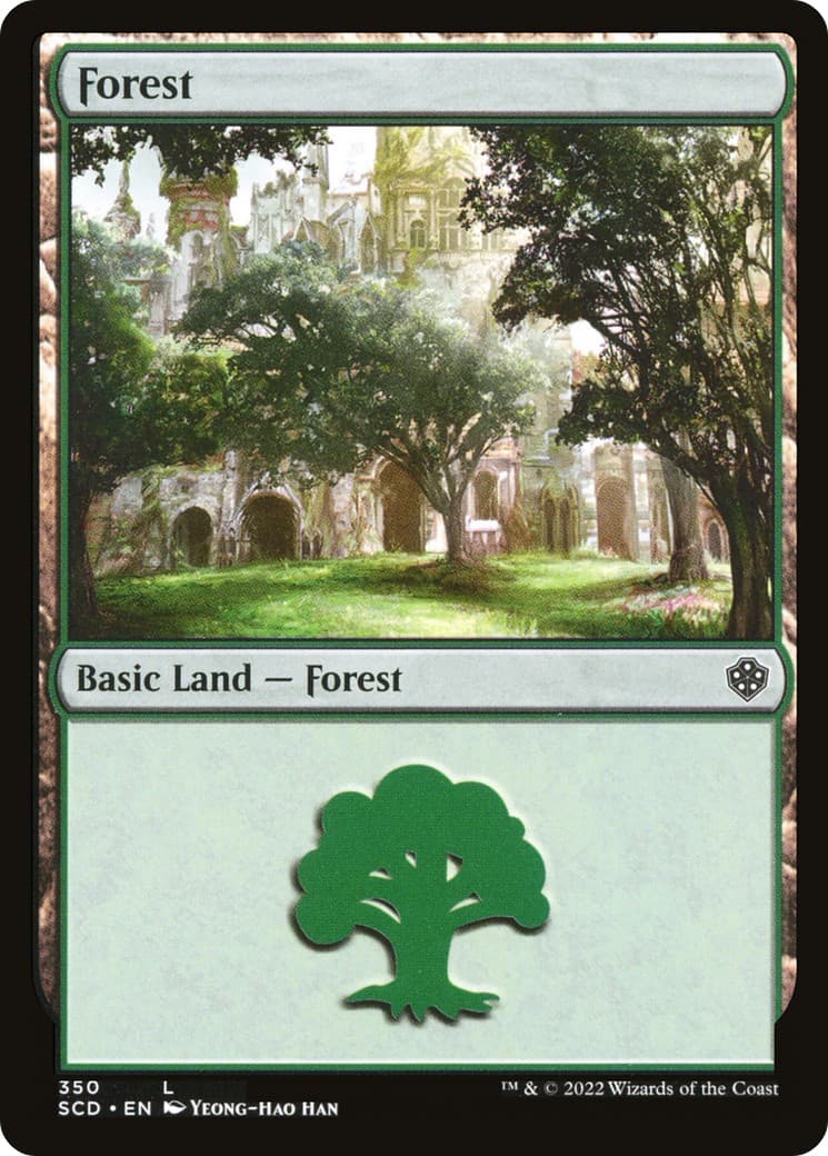 Forest - Image 1