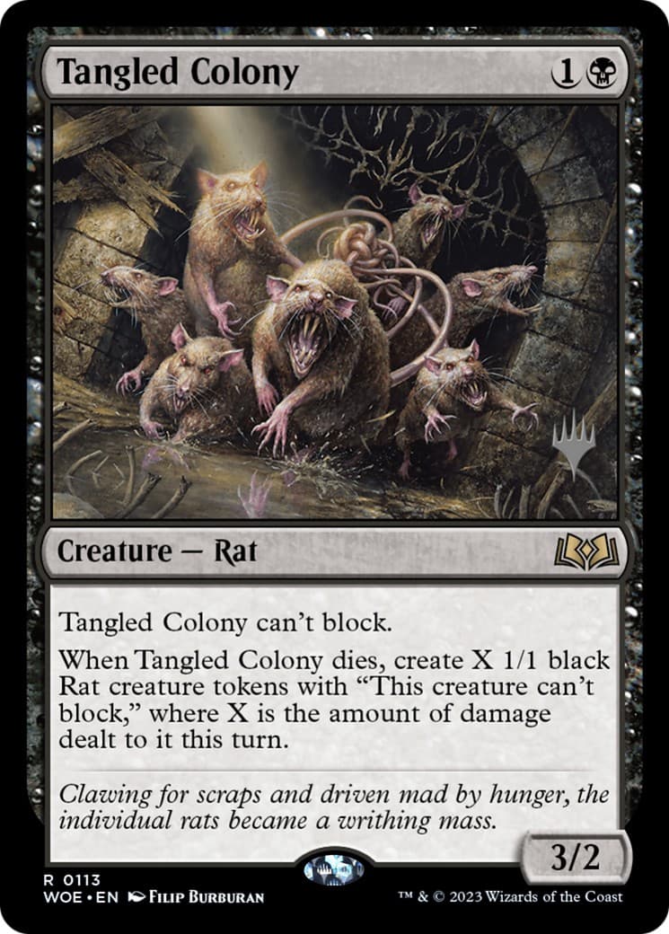 Tangled Colony - Image 1