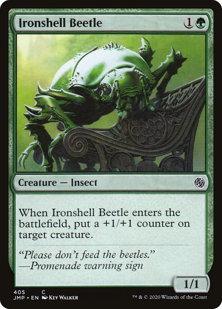 Ironshell Beetle - Image 1