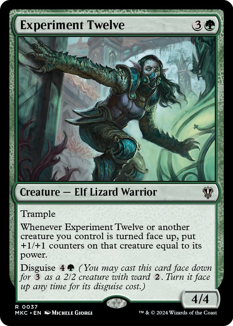 Experiment Twelve - Image 1