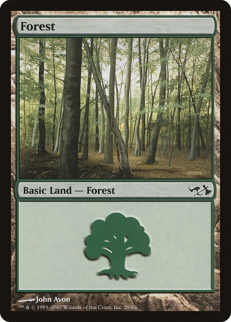 Forest - Image 1