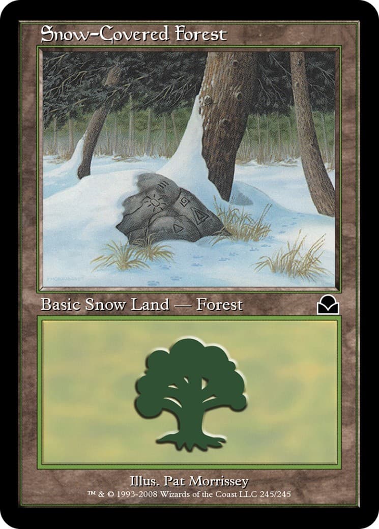 Snow-Covered Forest - Image 1