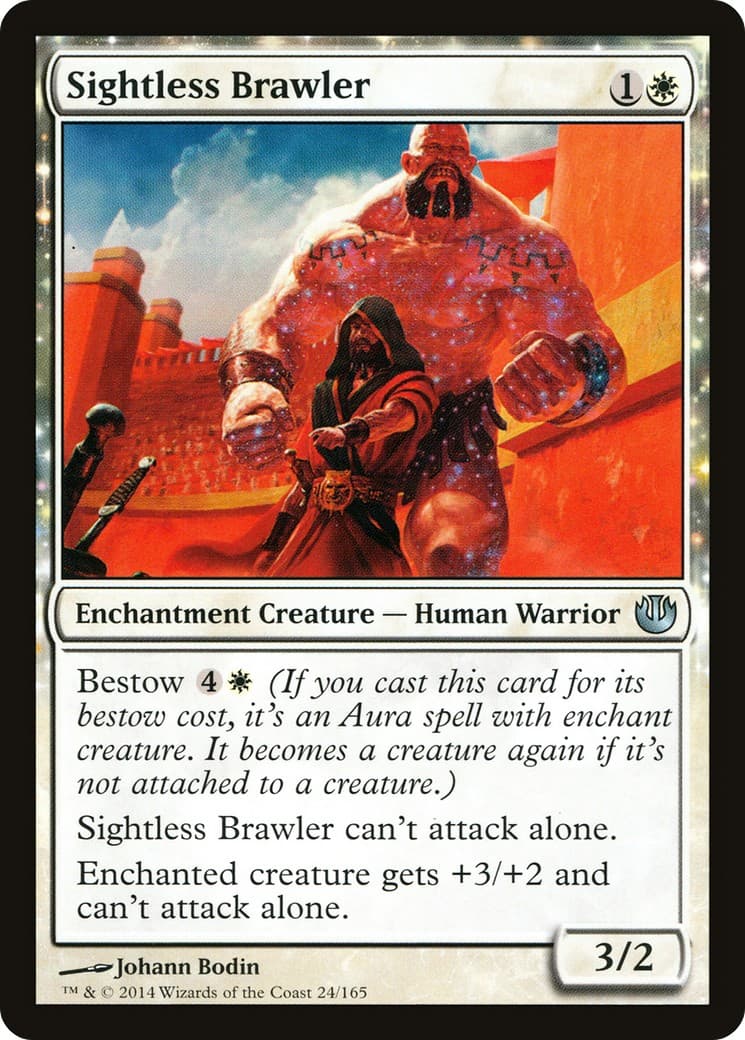Sightless Brawler - Image 1