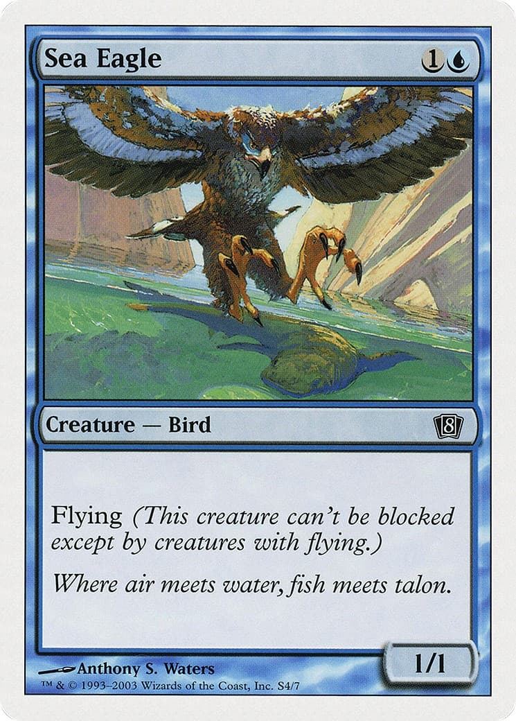 Sea Eagle - Image 1