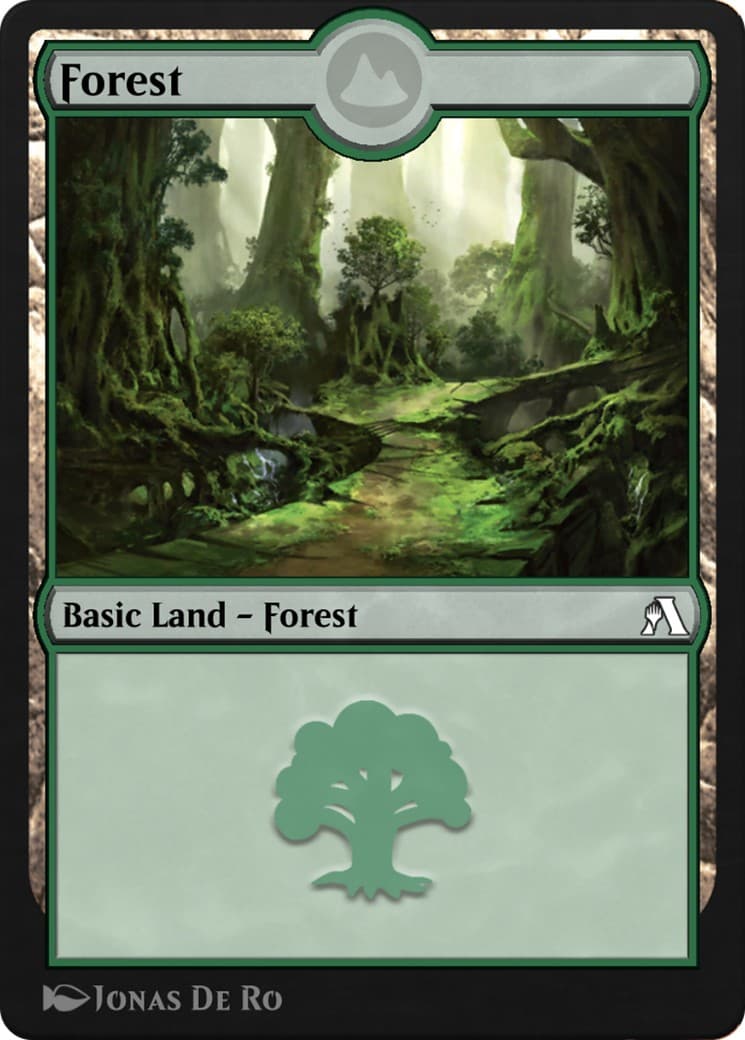 Forest - Image 1