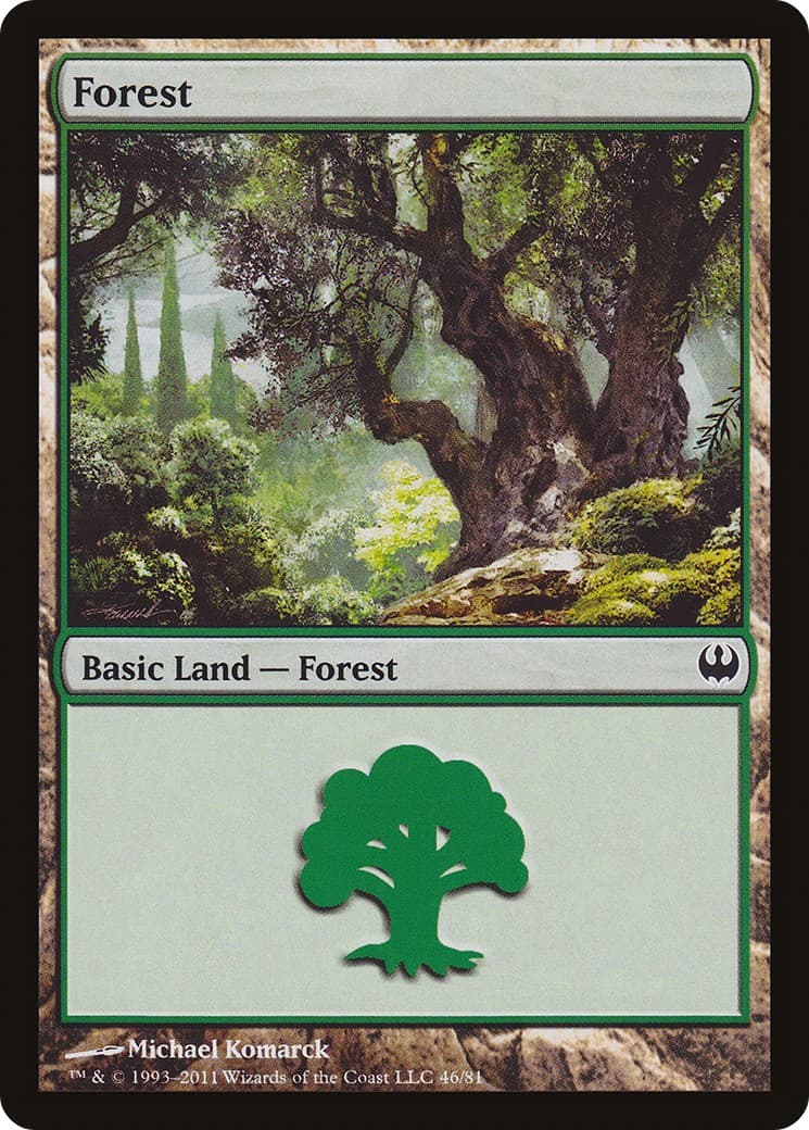 Forest - Image 1
