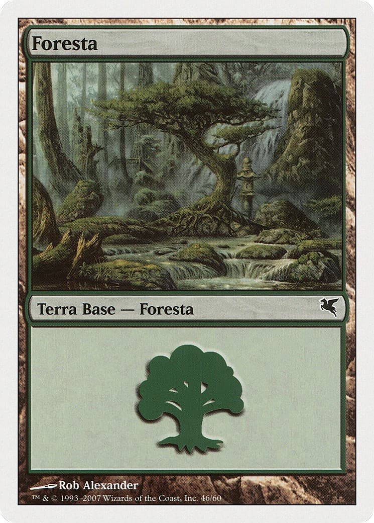 Forest - Image 1