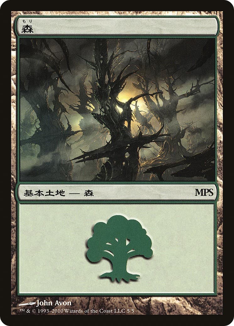 Forest - Image 1