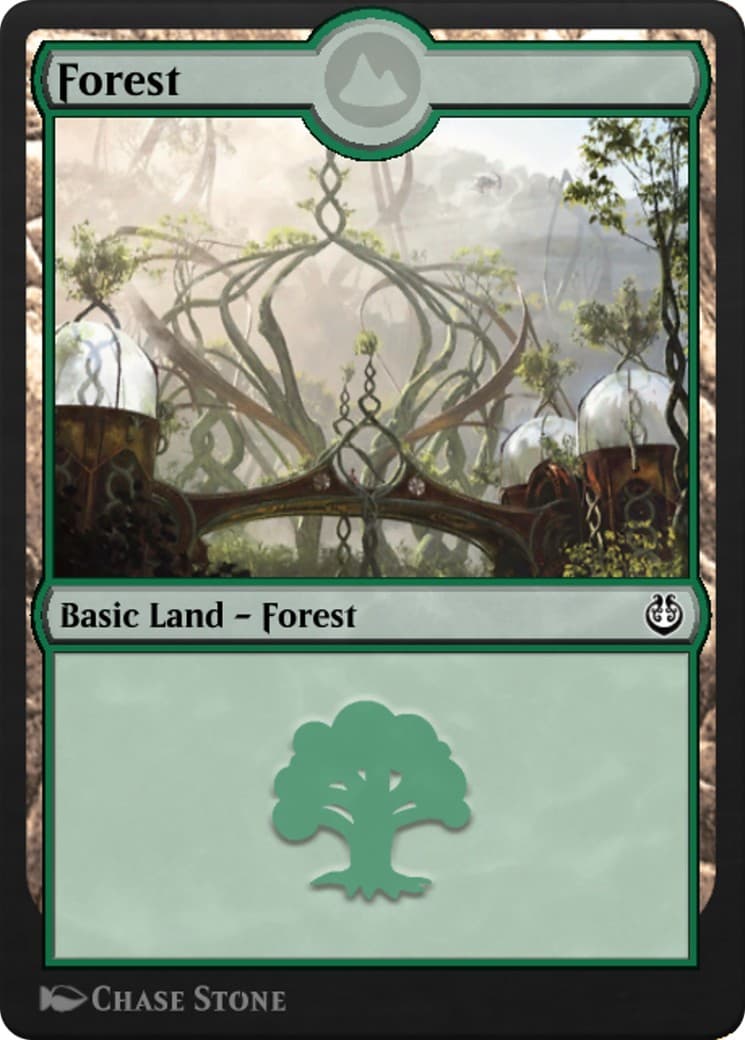 Forest - Image 1