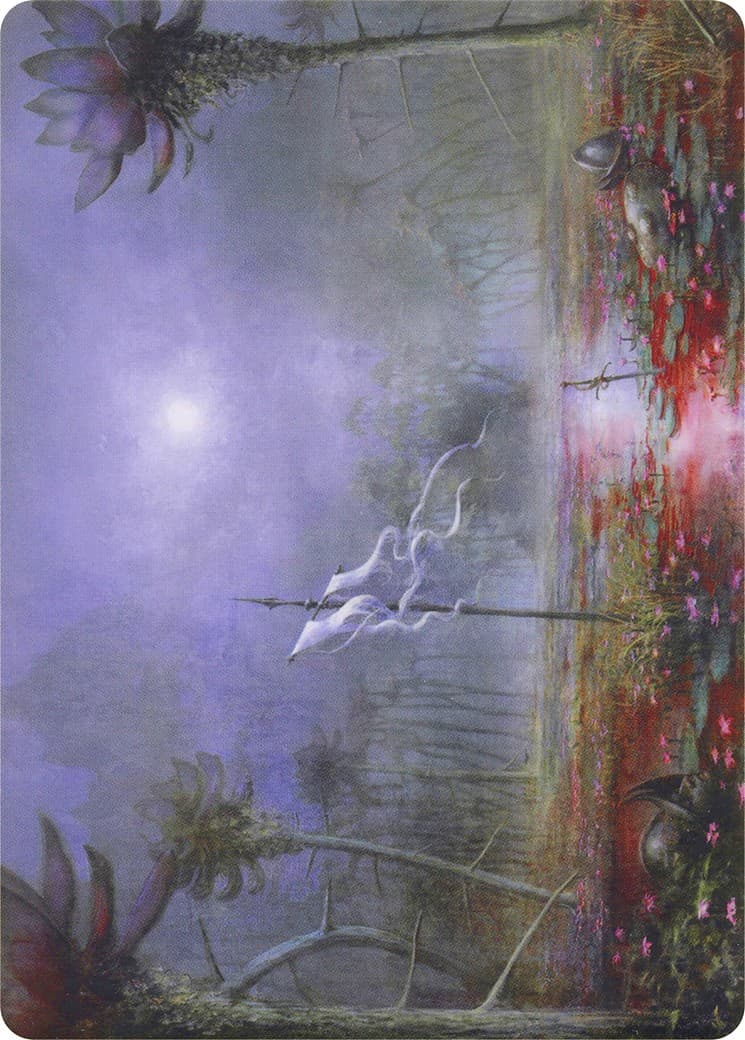 Silent Clearing // Silent Clearing - Image 1