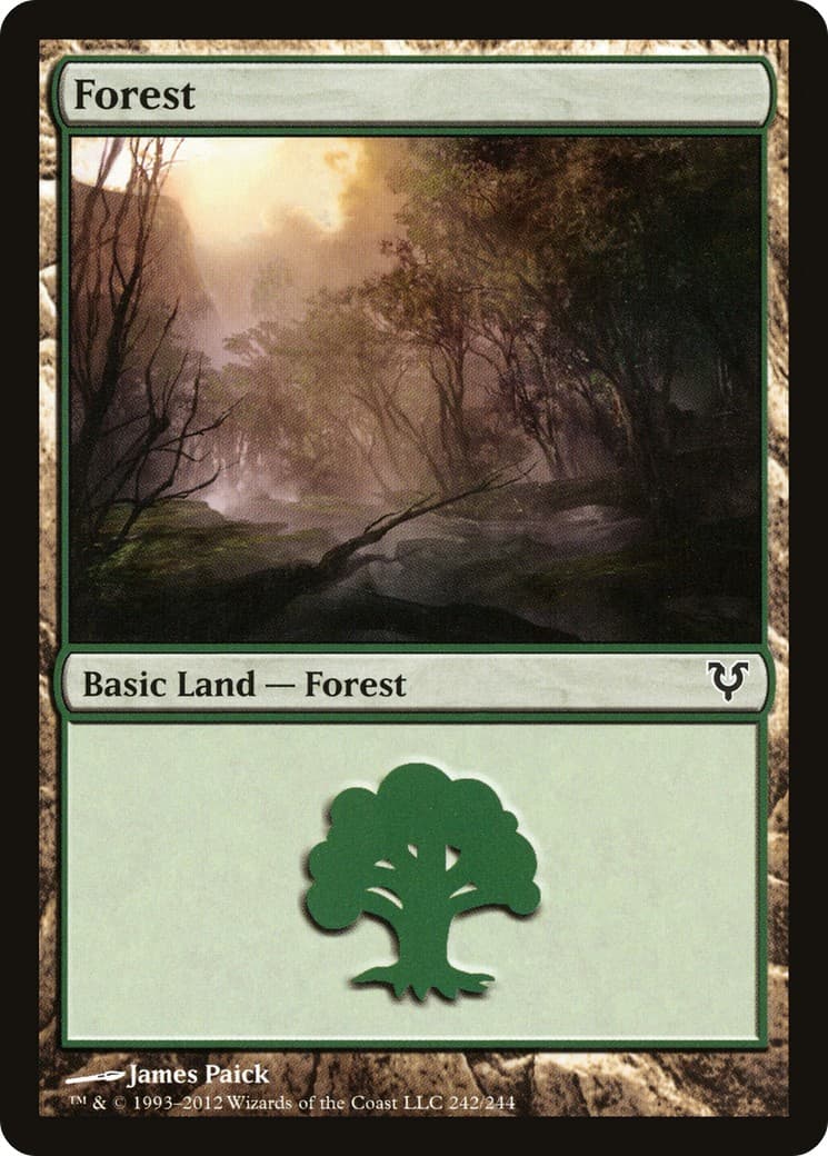 Forest - Image 1