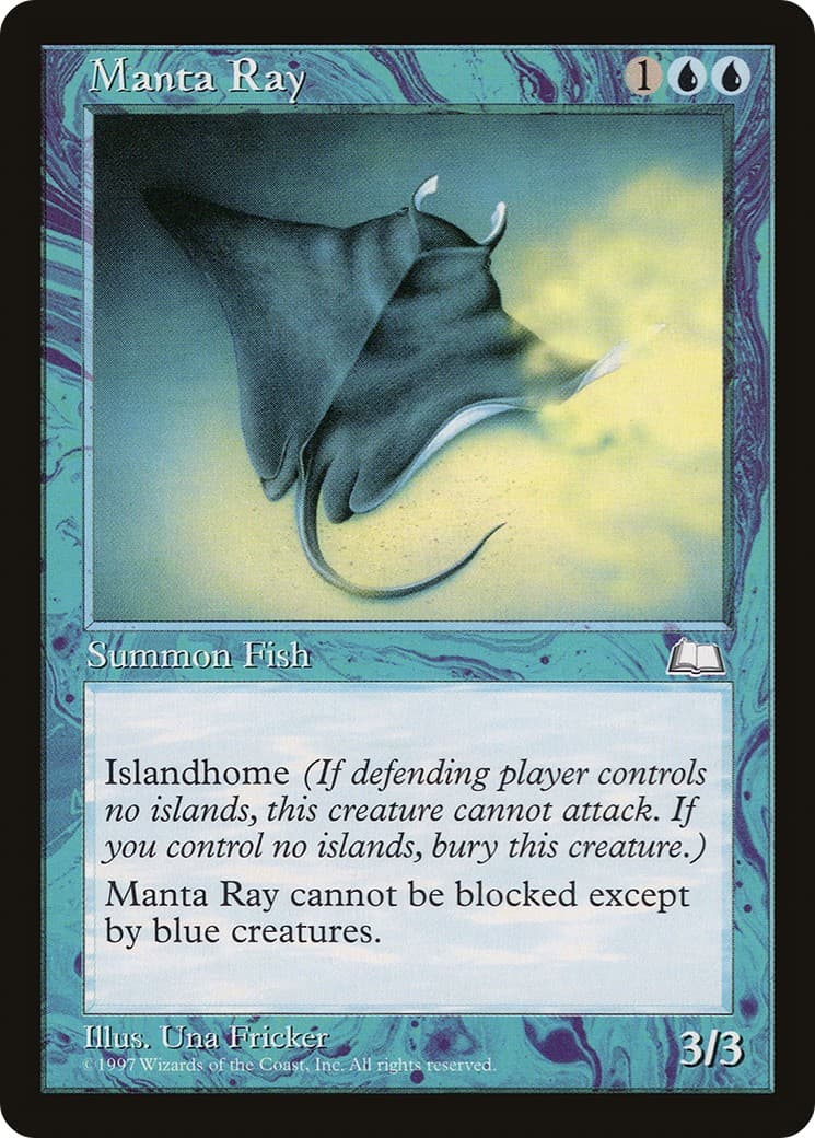 Manta Ray - Image 1