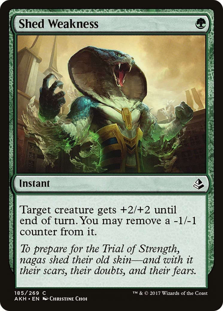 Shed Weakness - Image 1