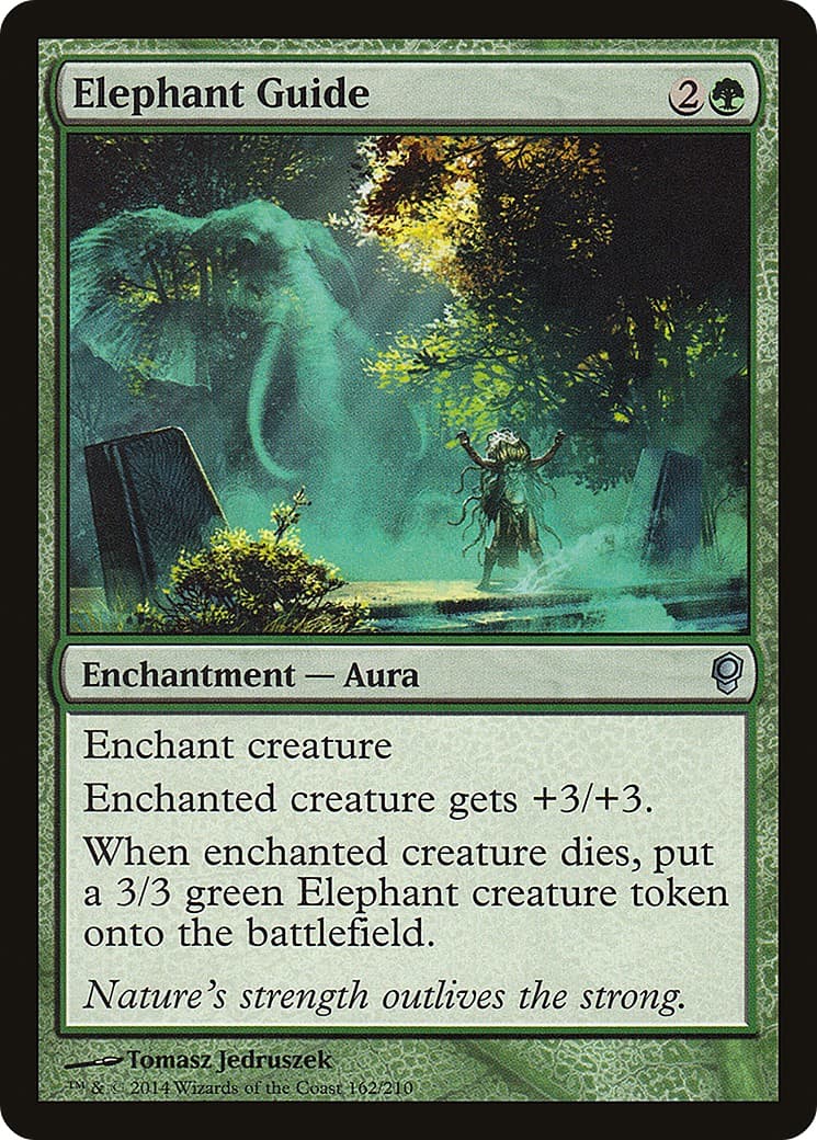 Elephant Guide - Image 1