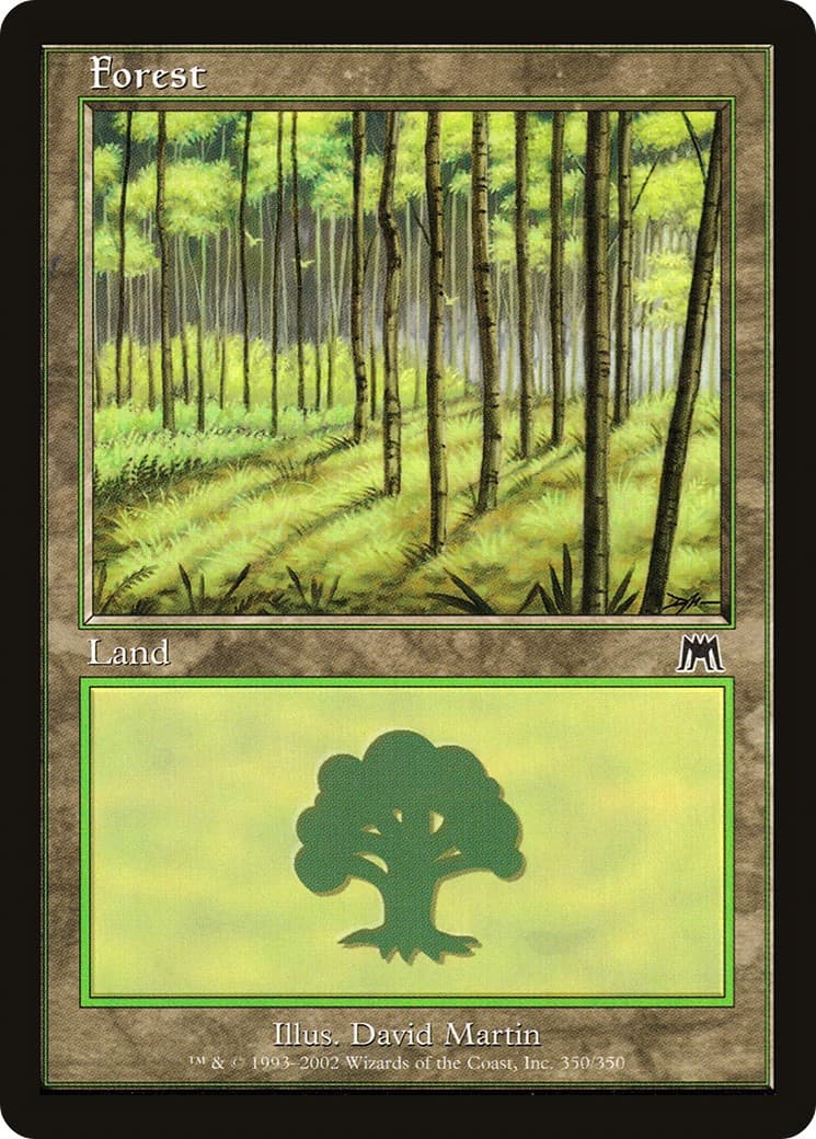 Forest - Image 1
