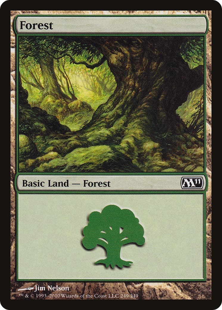 Forest - Image 1