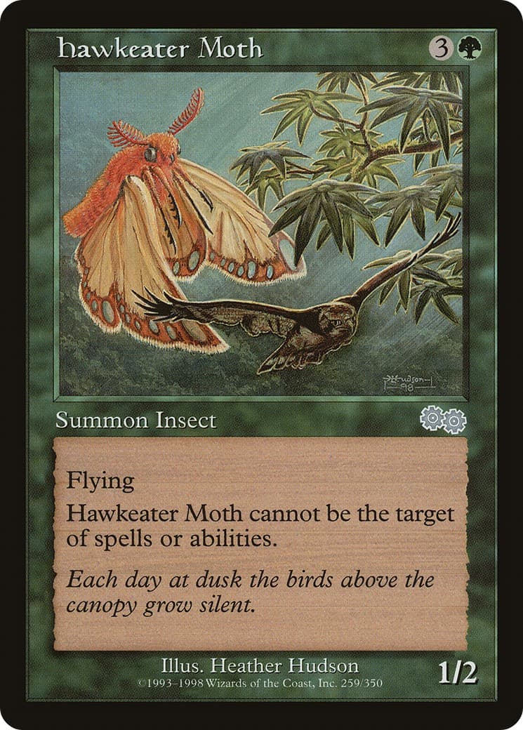 Hawkeater Moth - Image 1