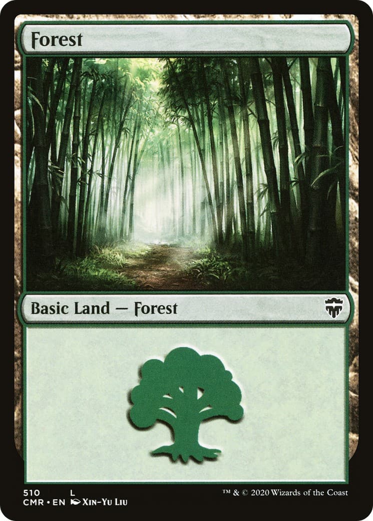 Forest - Image 1