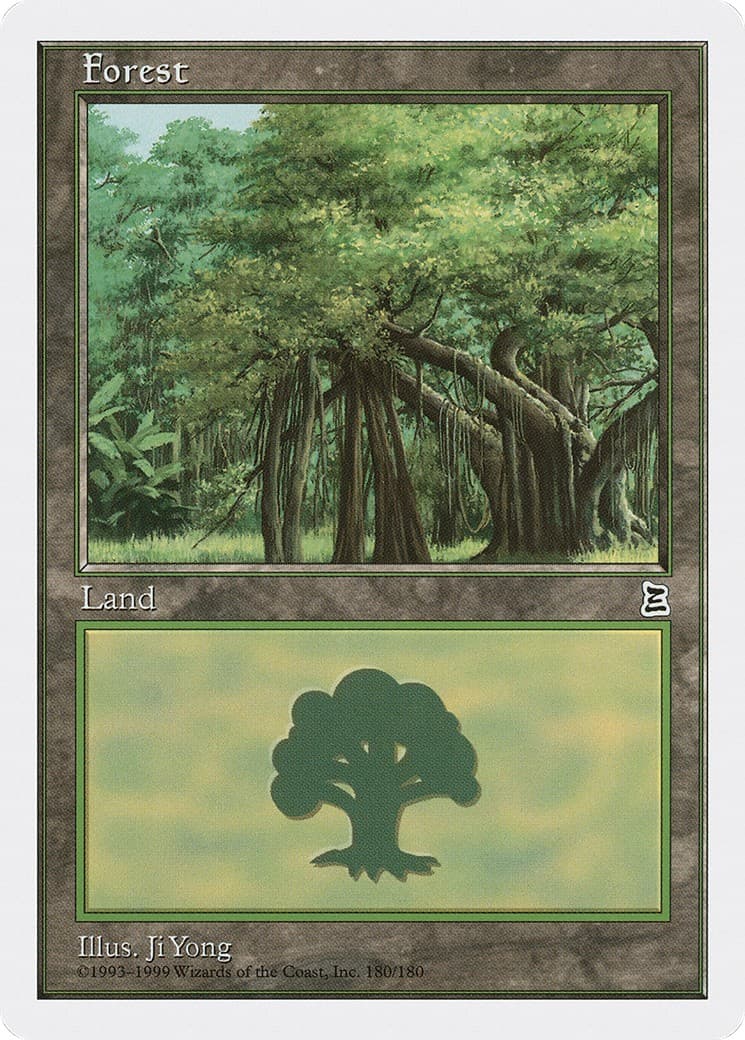 Forest - Image 1