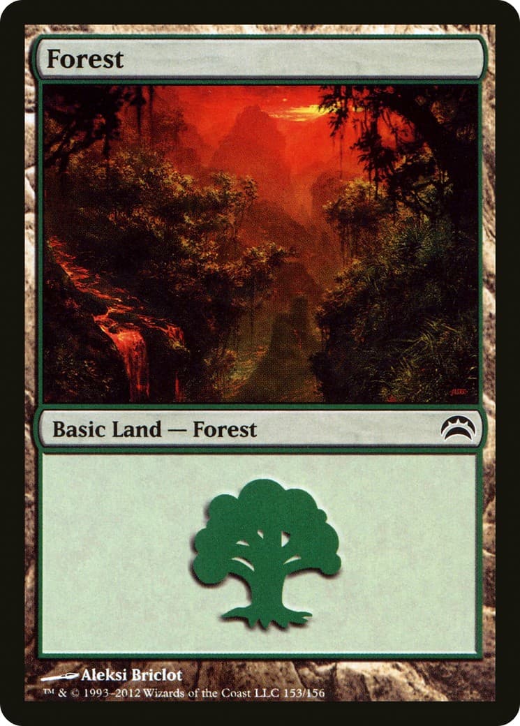Forest - Image 1