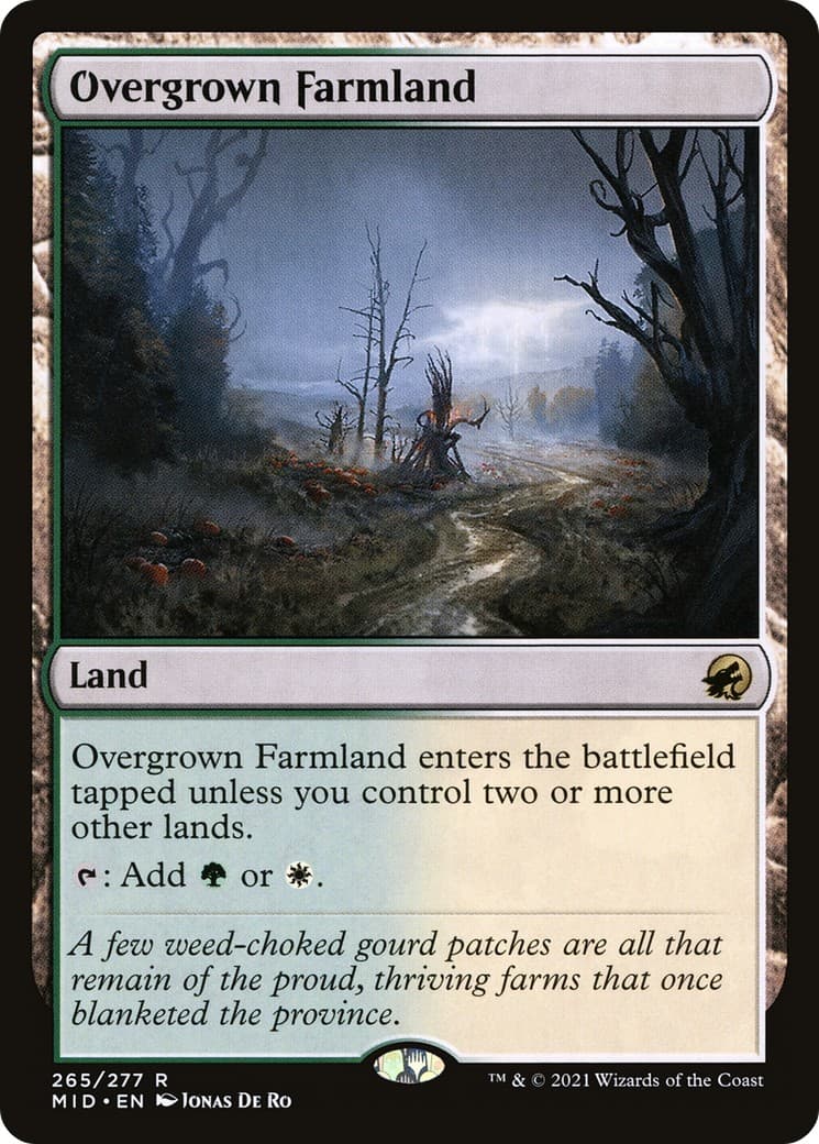Overgrown Farmland - Image 1
