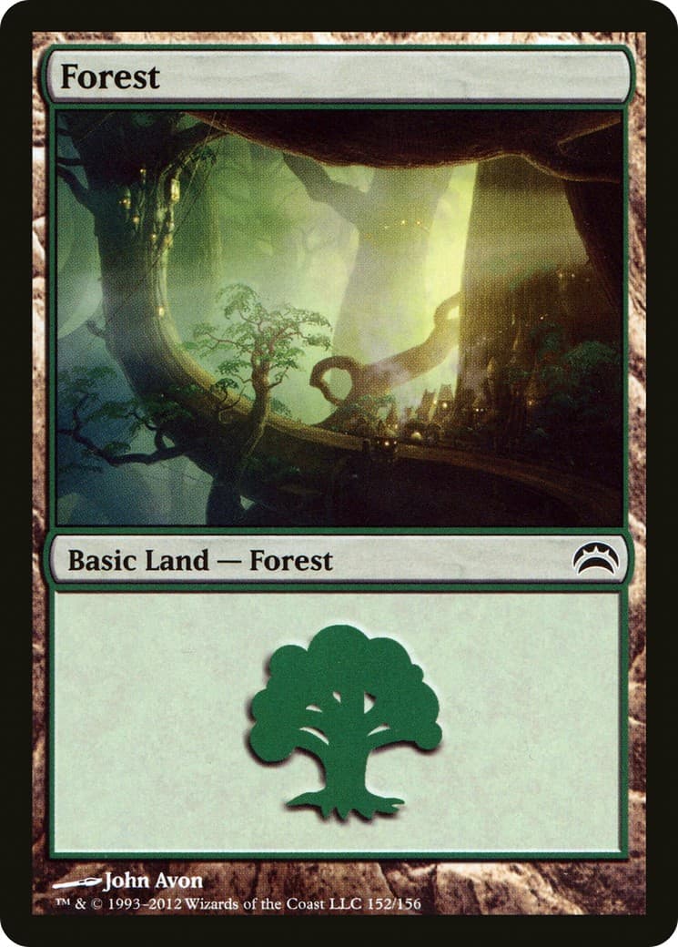 Forest - Image 1