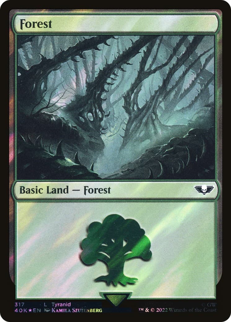 Forest - Image 1