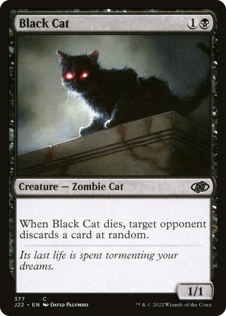 Black Cat - Image 1