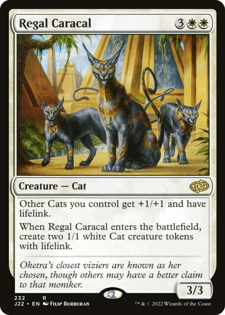 Regal Caracal - Image 1