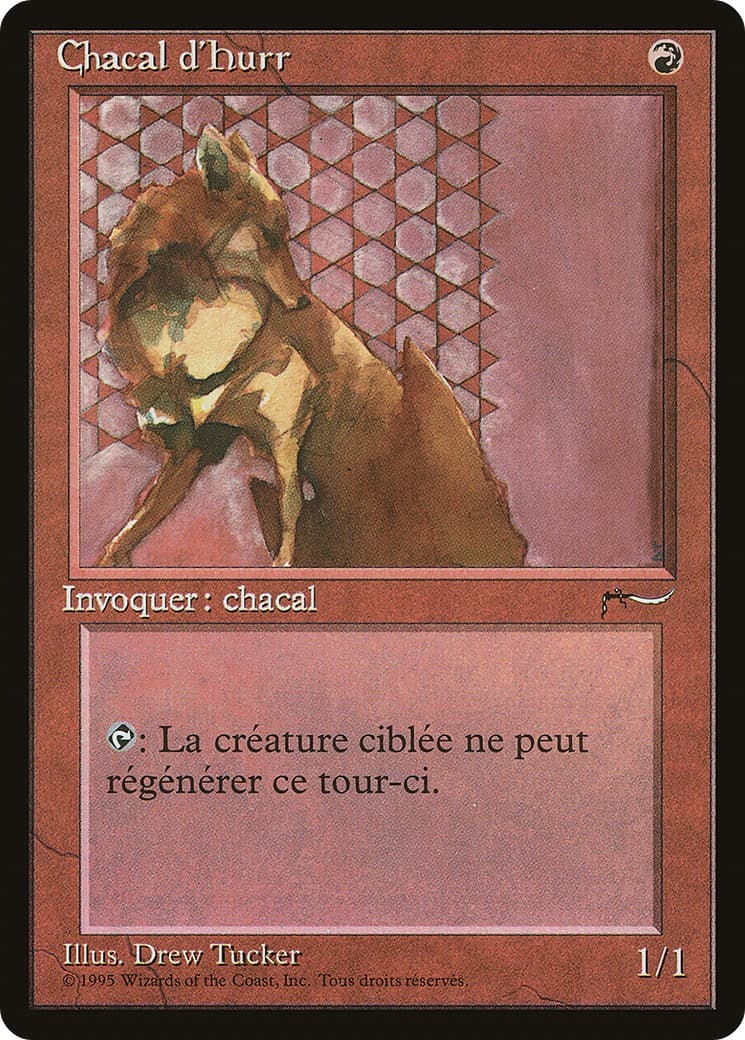 Hurr Jackal - Image 1