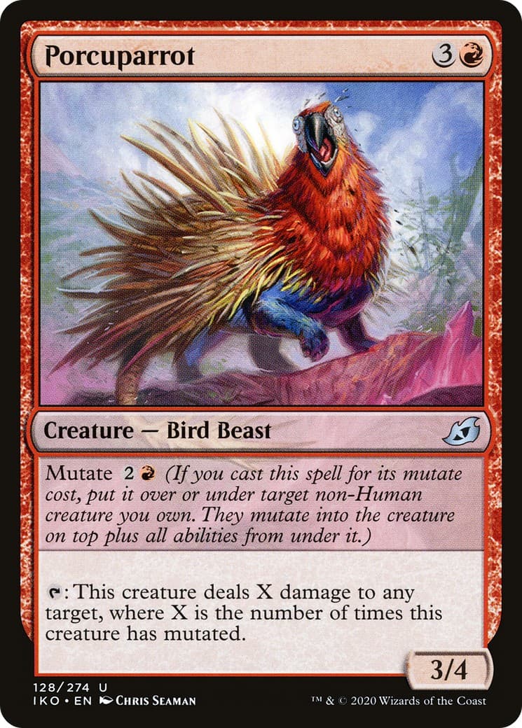 Porcuparrot - Image 1