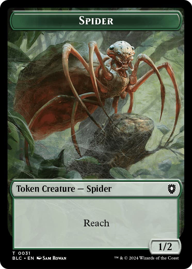 Spider - Image 1