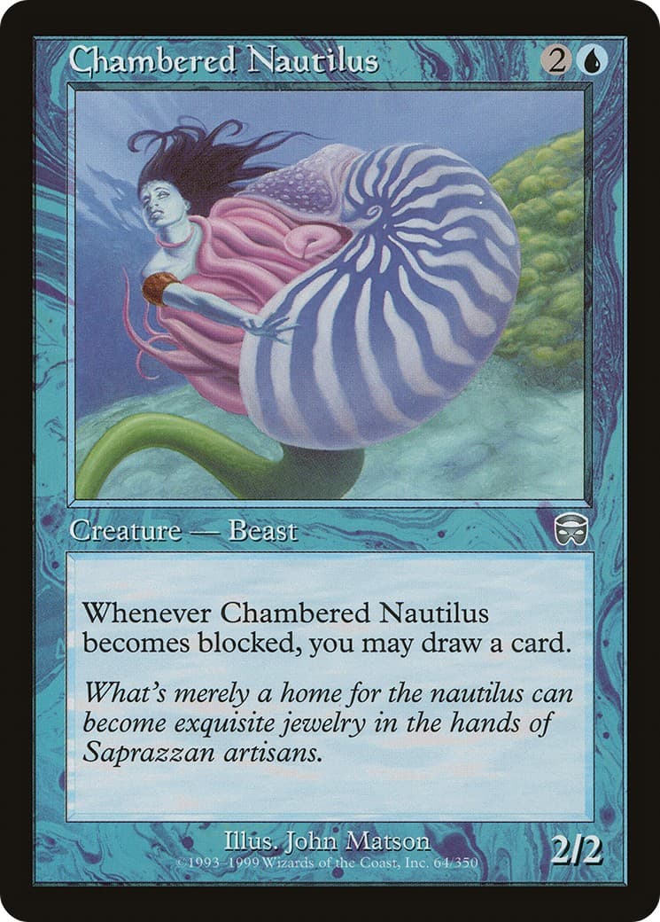 Chambered Nautilus - Image 1