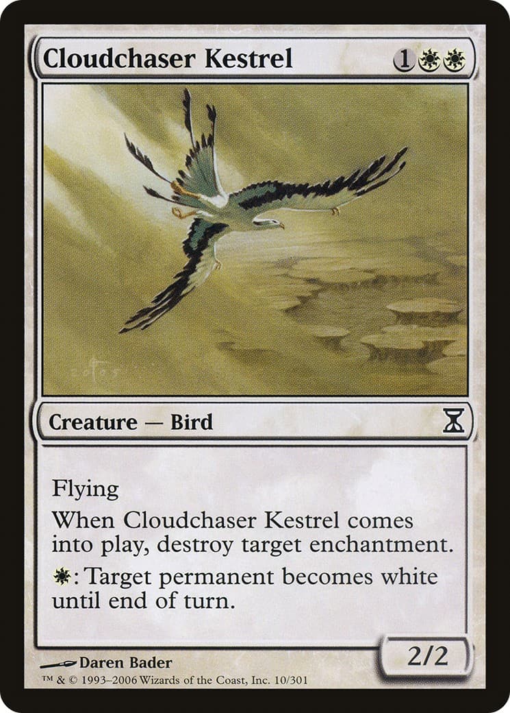 Cloudchaser Kestrel - Image 1